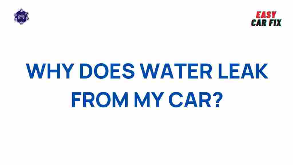 car-water-leaks