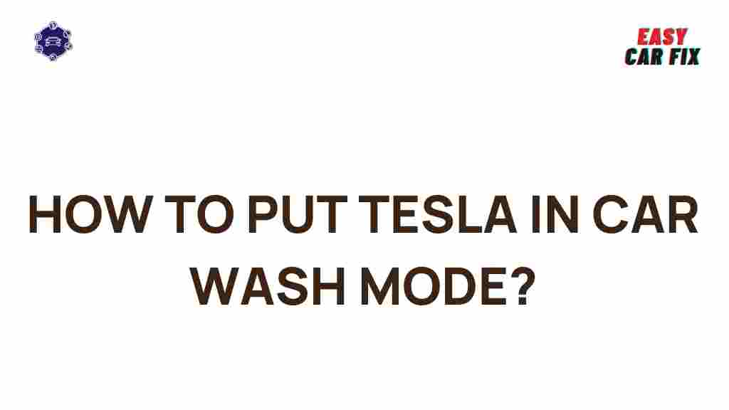 tesla-car-wash-mode
