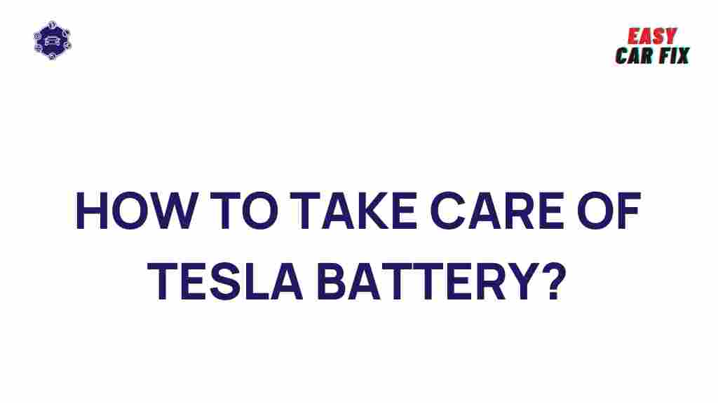 tesla-battery-care