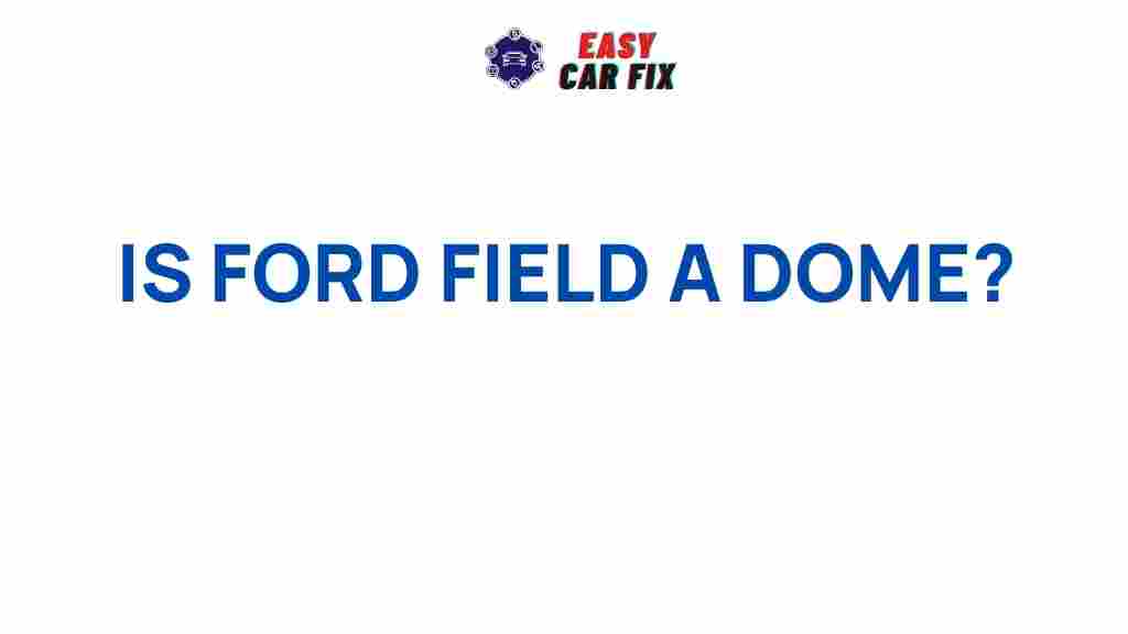 ford-field-dome-mystery