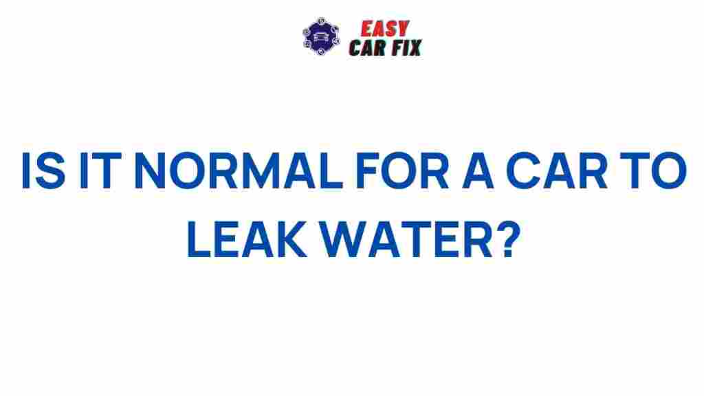 car-leak-water-mystery