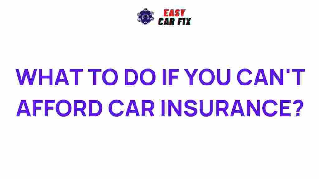 affordable-car-insurance-options