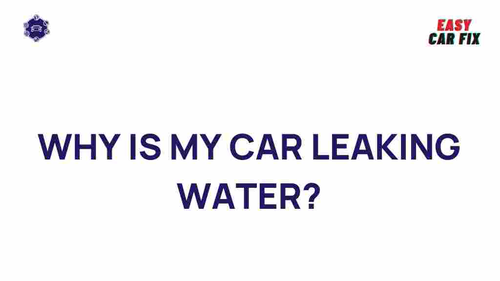 car-leaking-water-mystery